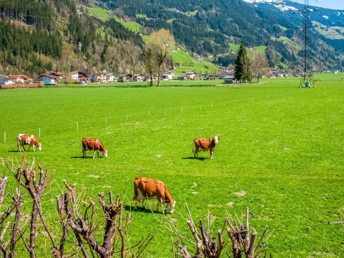 Beautiful Apartment In Ramsau With Balcony Ramsau im Zillertal Buitenkant foto